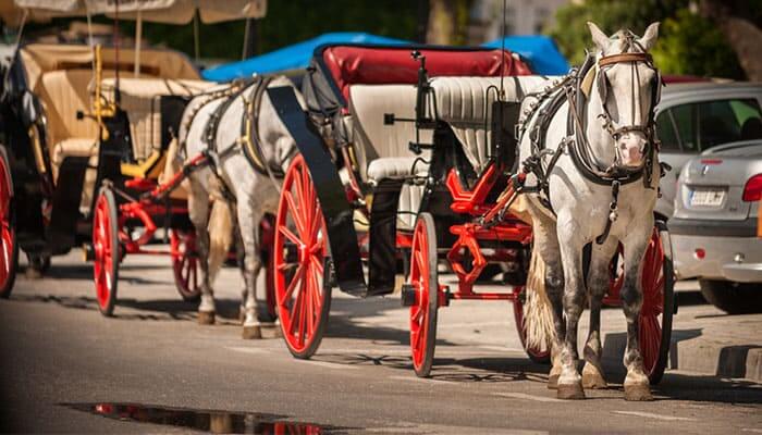 Mijas Pueblo - Classic whitewashed village... with traditional horse carriage rides