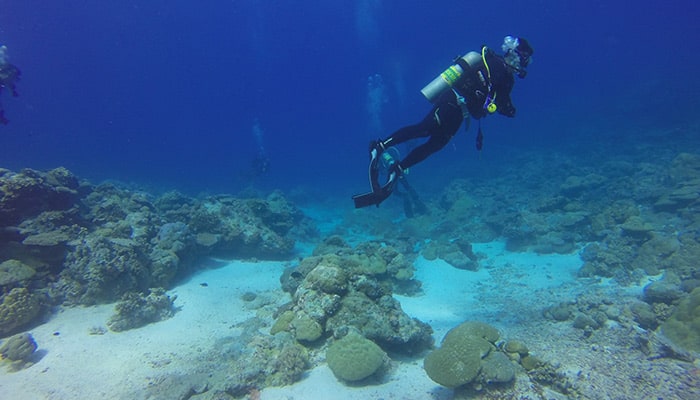 Plongée sous-marine sur la Costa del Sol